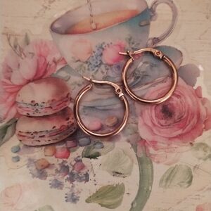 Rose Gold Stainless Steel Hoop Earrings